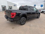 2023 F-150 Thumbnail 4