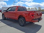 2023 F-150 Thumbnail 4