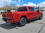 2023 F-150 Thumbnail 6