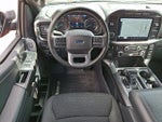 2023 F-150 Thumbnail 11