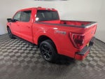 2023 F-150 Thumbnail 7