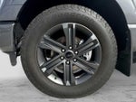 2023 F-150 Thumbnail 13