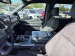 2023 F-150 Thumbnail 15