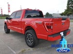 2023 F-150 Thumbnail 3