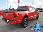 2023 F-150 Thumbnail 5