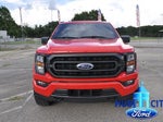 2023 F-150 Thumbnail 8