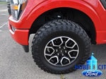 2023 F-150 Thumbnail 9