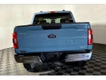 2023 F-150 Thumbnail 11