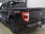 2021 F-150 Thumbnail 4