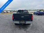 2021 F-150 Thumbnail 4