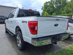 2021 F-150 Thumbnail 6