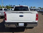 2021 F-150 Thumbnail 8