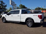 2021 F-150 Thumbnail 24