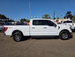 2021 F-150 Thumbnail 29