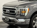 2021 F-150 Thumbnail 2