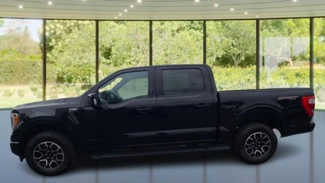 2021 Ford F-150 King Ranch