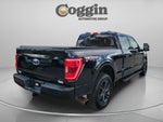 2021 F-150 Thumbnail 2