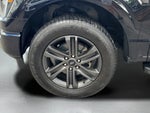 2021 F-150 Thumbnail 5