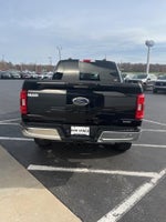 2021 F-150 Thumbnail 5