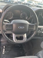 2021 F-150 Thumbnail 13