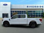 2021 F-150 Thumbnail 4