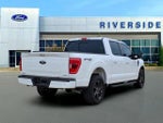 2021 F-150 Thumbnail 7
