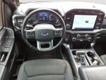 2021 F-150 Thumbnail 9