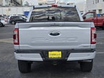 2021 F-150 Thumbnail 6