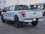 2021 F-150 Thumbnail 7