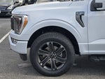 2021 F-150 Thumbnail 8