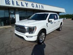 2022 F-150 Thumbnail 3