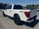 2022 F-150 Thumbnail 5