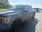 2022 F-150 Thumbnail 4