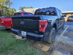 2022 F-150 Thumbnail 9