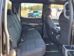 2022 F-150 Thumbnail 13
