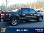 2022 F-150 Thumbnail 4