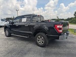 2022 F-150 Thumbnail 6