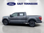 2022 F-150 Thumbnail 6