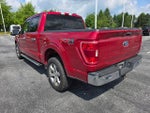 2022 F-150 Thumbnail 3