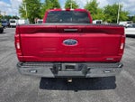 2022 F-150 Thumbnail 4