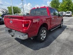 2022 F-150 Thumbnail 5