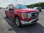 2022 F-150 Thumbnail 7