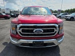 2022 F-150 Thumbnail 8