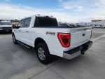 2022 F-150 Thumbnail 7