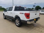 2022 F-150 Thumbnail 5
