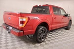 2022 F-150 Thumbnail 21