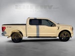 2022 F-150 Thumbnail 10