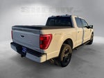 2022 F-150 Thumbnail 12