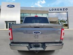 2023 F-150 Thumbnail 6