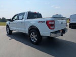 2023 F-150 Thumbnail 6